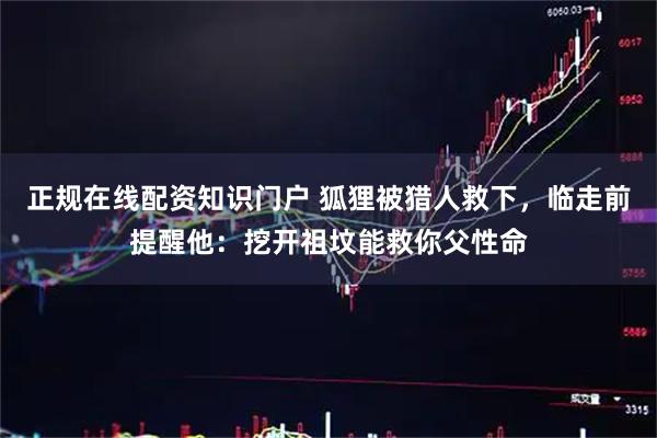 正规在线配资知识门户 狐狸被猎人救下，临走前提醒他：挖开祖坟能救你父性命