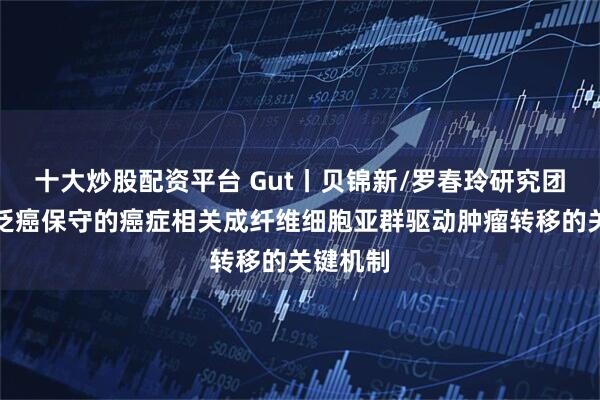 十大炒股配资平台 Gut丨贝锦新/罗春玲研究团队揭示泛癌保守的癌症相关成纤维细胞亚群驱动肿瘤转移的关键机制